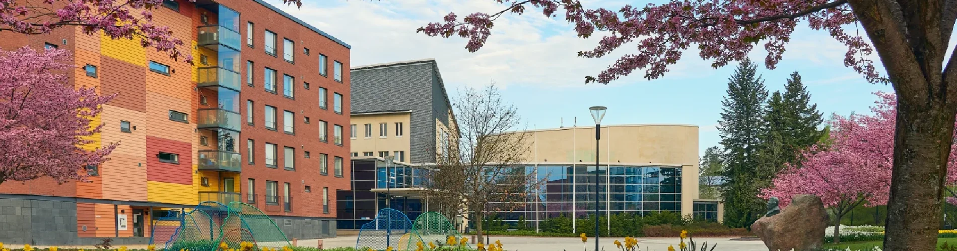 Siva University